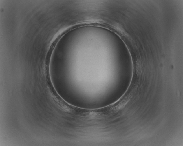 X0000073951412200608211128