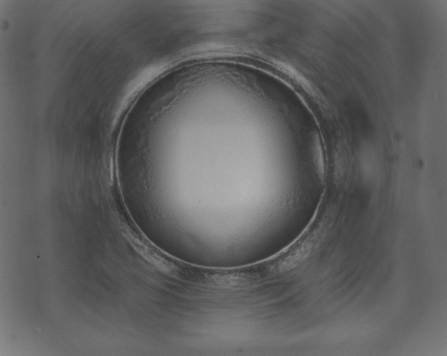 X0000073951413200608211128