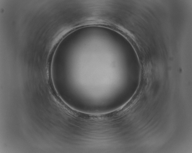 X0000073951415200608211128
