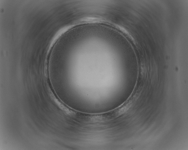 X0000073951421200608211129