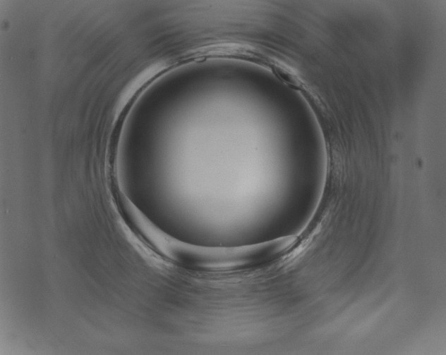 X0000073951426200608211129