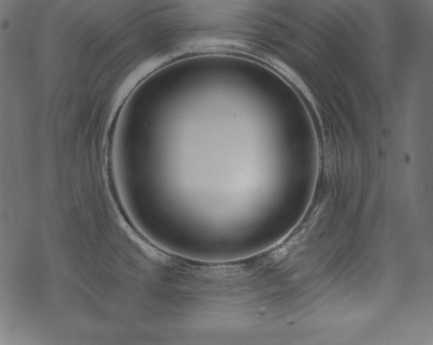 X0000073951437200608211129