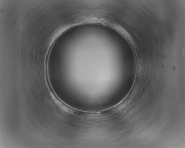 X0000073951439200608211129