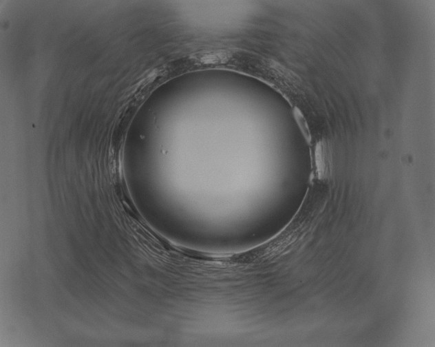 X0000073951443200608211128