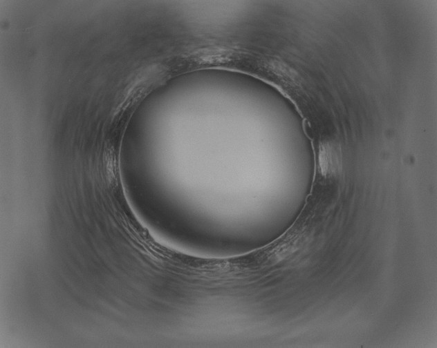 X0000073951444200608211128