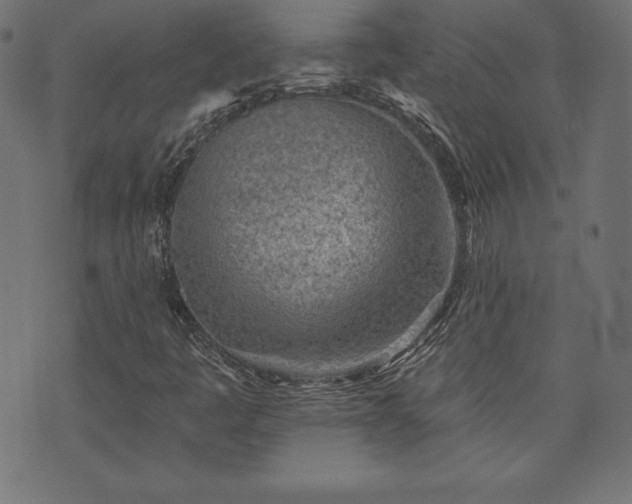 X0000073951445200608211128
