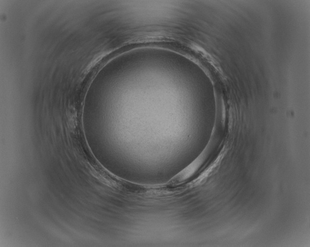 X0000073951449200608211128