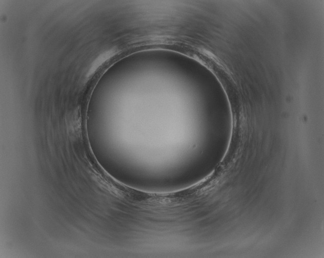 X0000073951450200608211128
