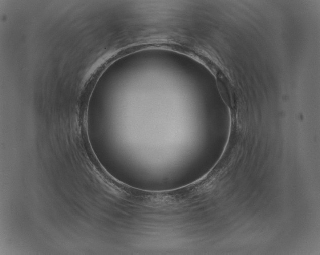 X0000073951452200608211128