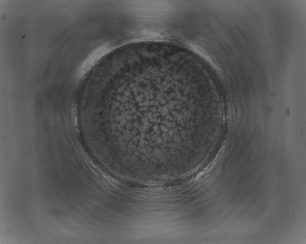 X0000073951455200608211128