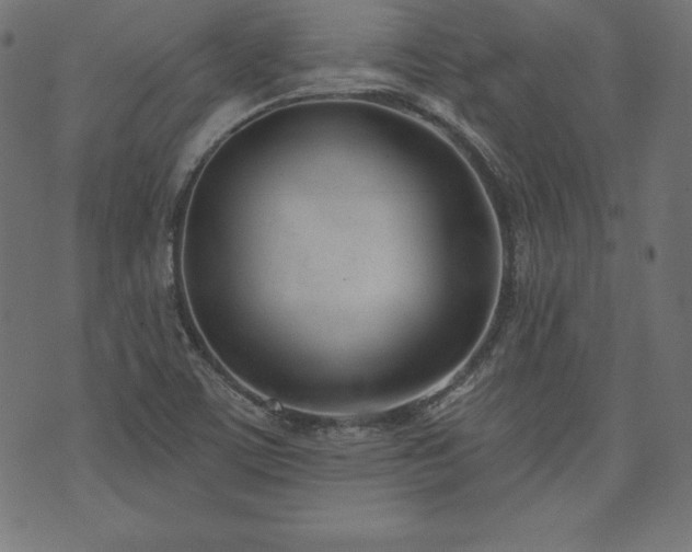 X0000073951459200608211128