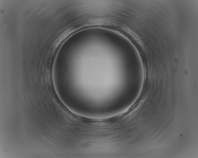 X0000073951465200608211128