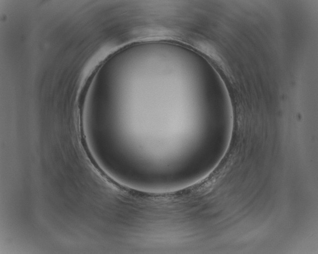 X0000073951472200608211128