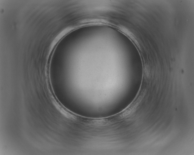 X0000073951482200608211127