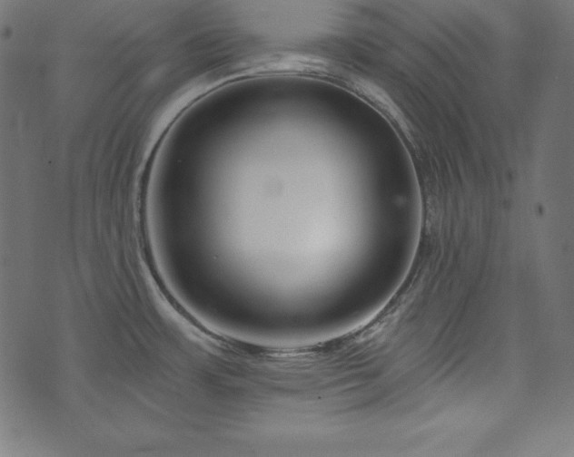 X0000073951483200608211127