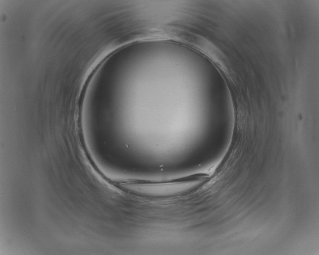 X0000073951484200608211127