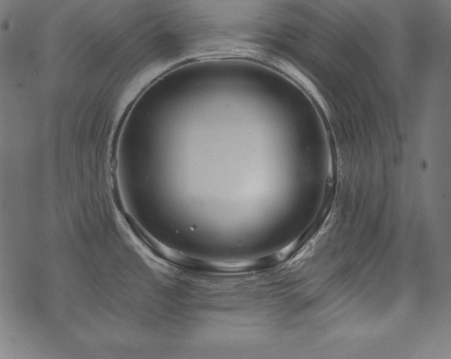 X0000073951485200608211127