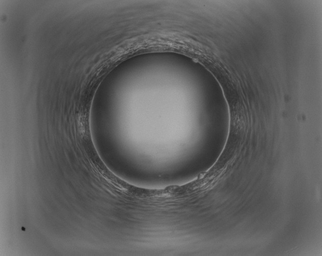 X0000073951490200608211127