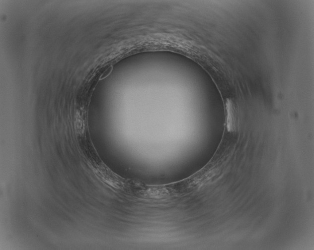 X0000073951491200608211127