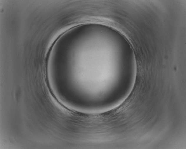 X0000073951531200608211127