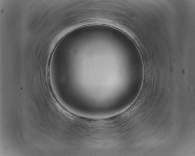 X0000073951535200608211127