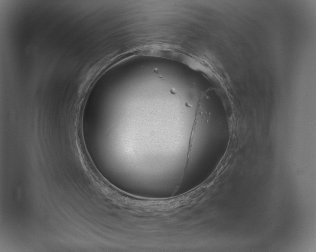 X0000073950001200608281227