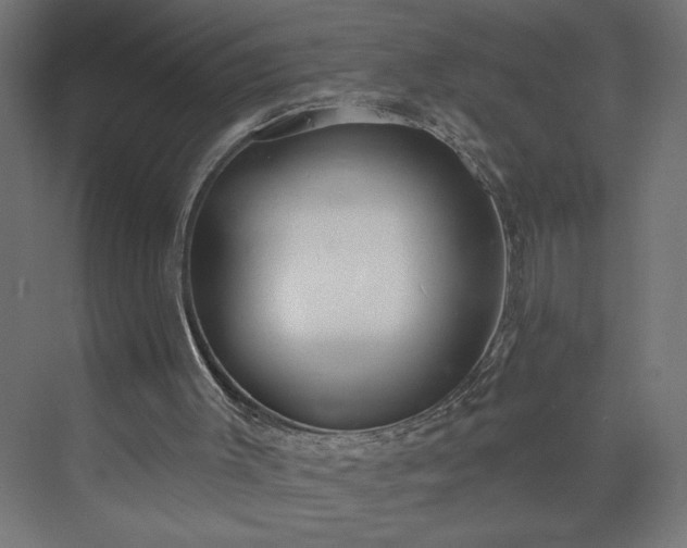 X0000073950003200608281227