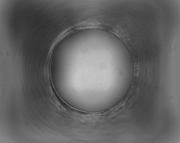 X0000073950004200608281227