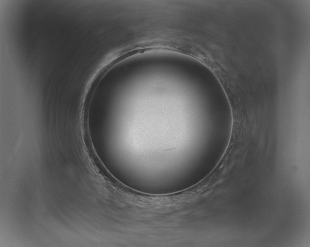 X0000073950006200608281227