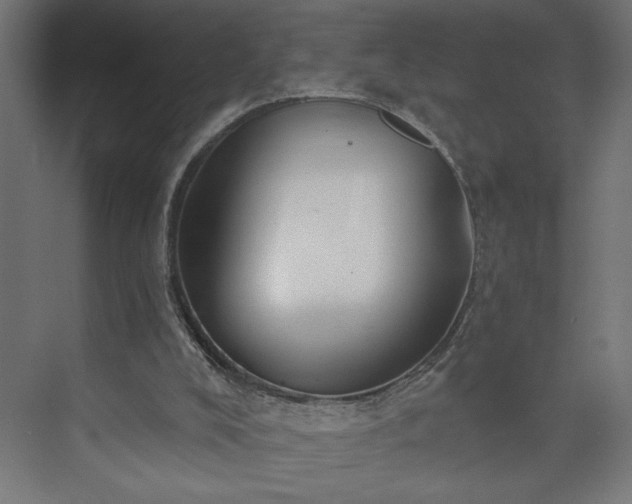 X0000073950008200608281227