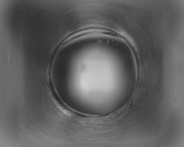 X0000073950009200608281227