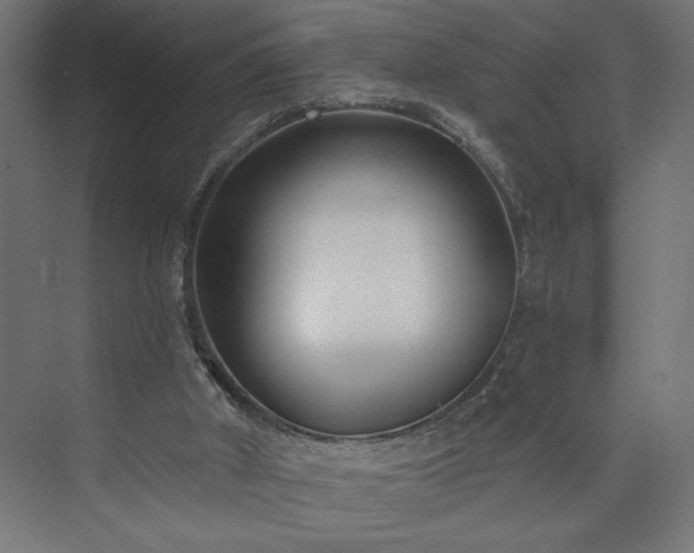 X0000073950010200608281227