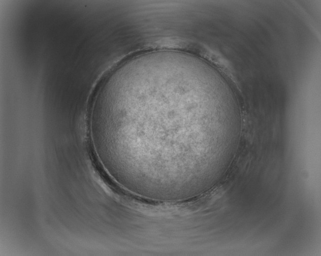 X0000073950012200608281227