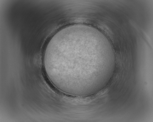 X0000073950016200608281227