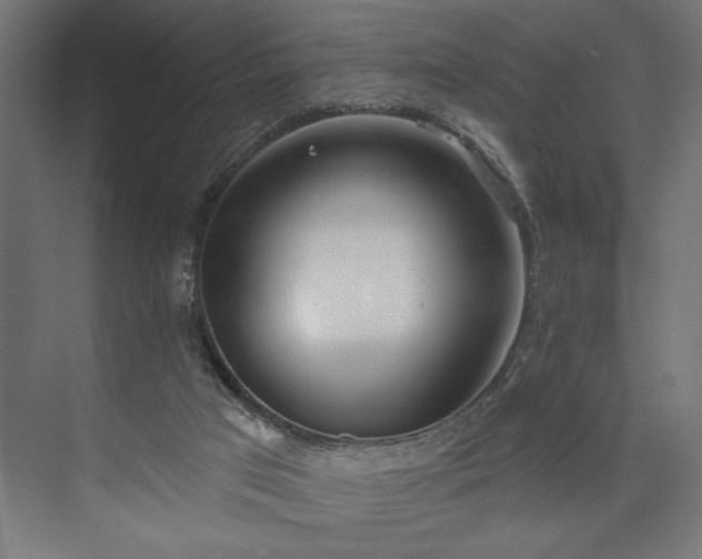 X0000073950017200608281227