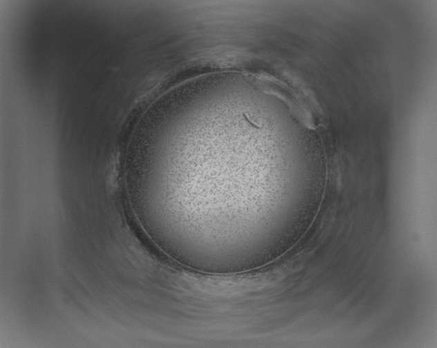 X0000073950018200608281227