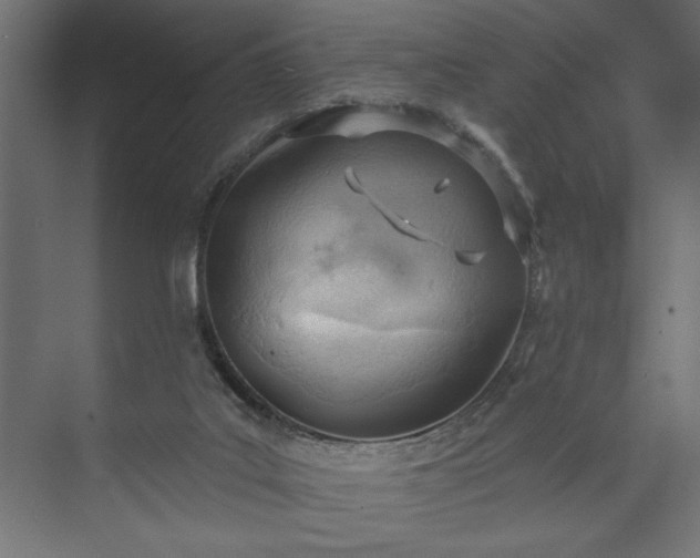 X0000073950019200608281227