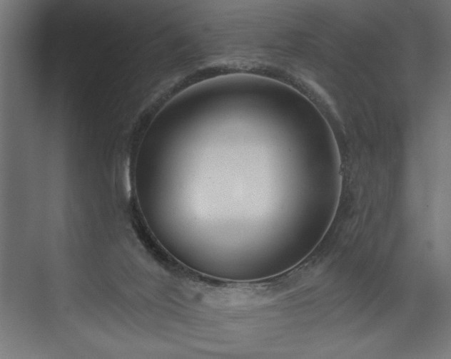 X0000073950020200608281227