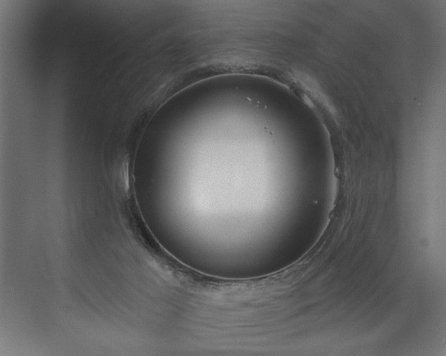 X0000073950021200608281227