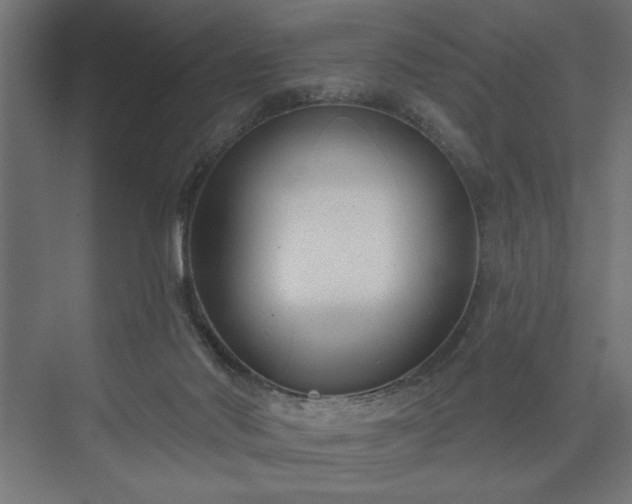 X0000073950022200608281227