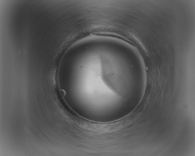 X0000073950023200608281227