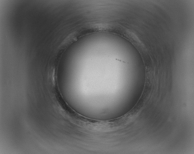 X0000073950024200608281227