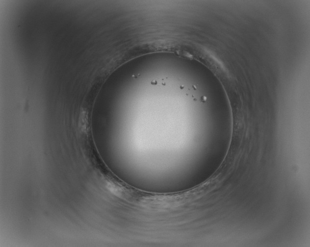 X0000073950025200608281227