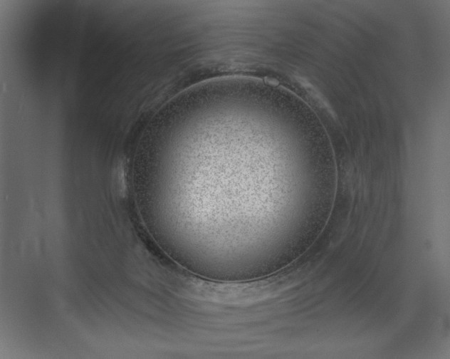 X0000073950026200608281227