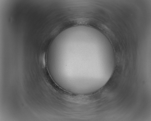 X0000073950028200608281227