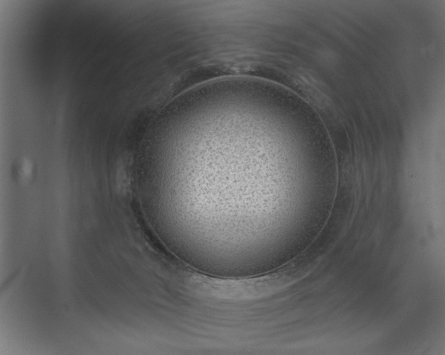 X0000073950030200608281227