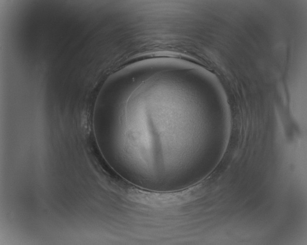 X0000073950031200608281227