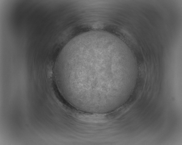 X0000073950032200608281227