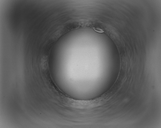 X0000073950034200608281227