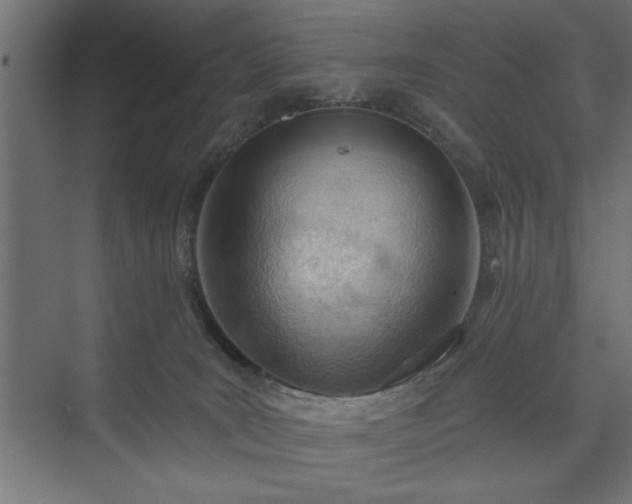 X0000073950035200608281227